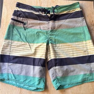 Patagonia Multicolor Striped Men's Board Shorts